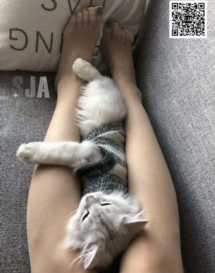 亚洲av日韩av综合aⅴxxx_BD英语韩国电影在线观看